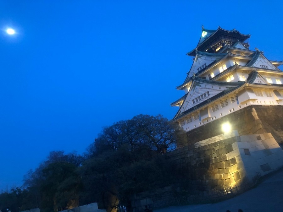 春の日の大阪城～夜の花見～