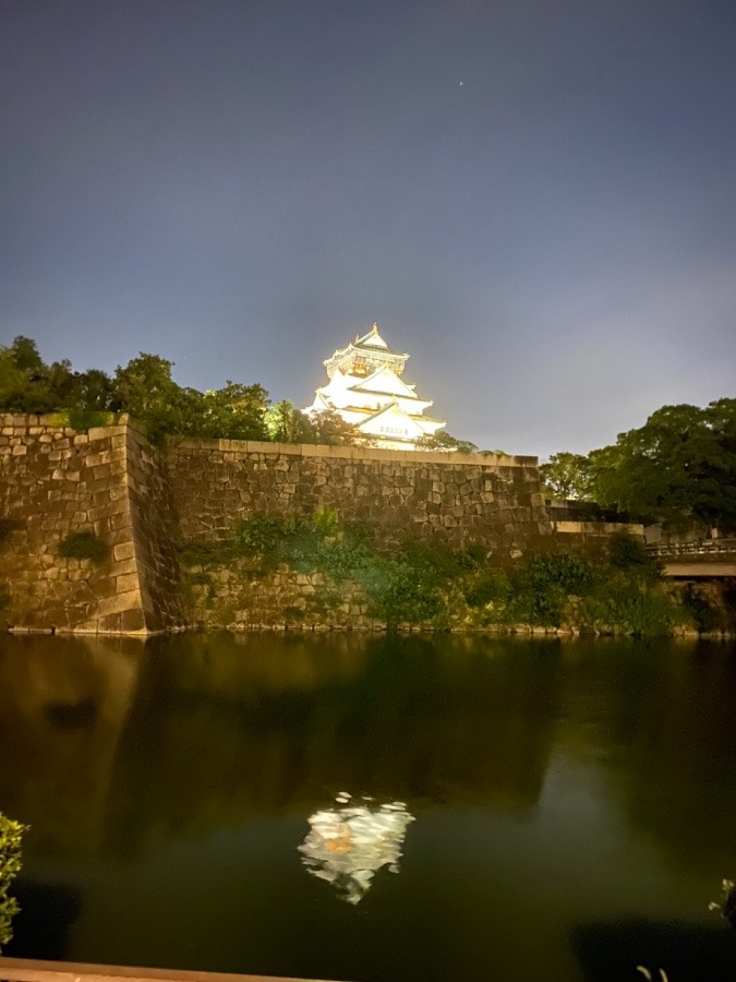 光る大阪城🏯✨