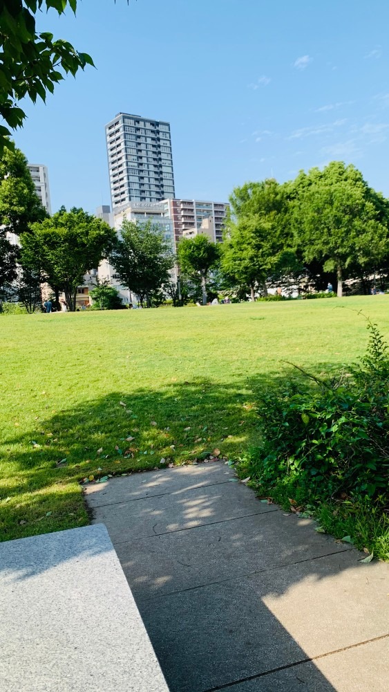 【中之島公園】公園内芝生、昼バージョンです。