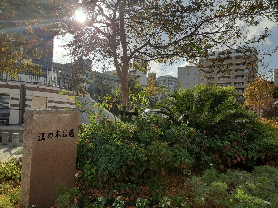 江坂駅のオアシス　緑の空間　江の木公園