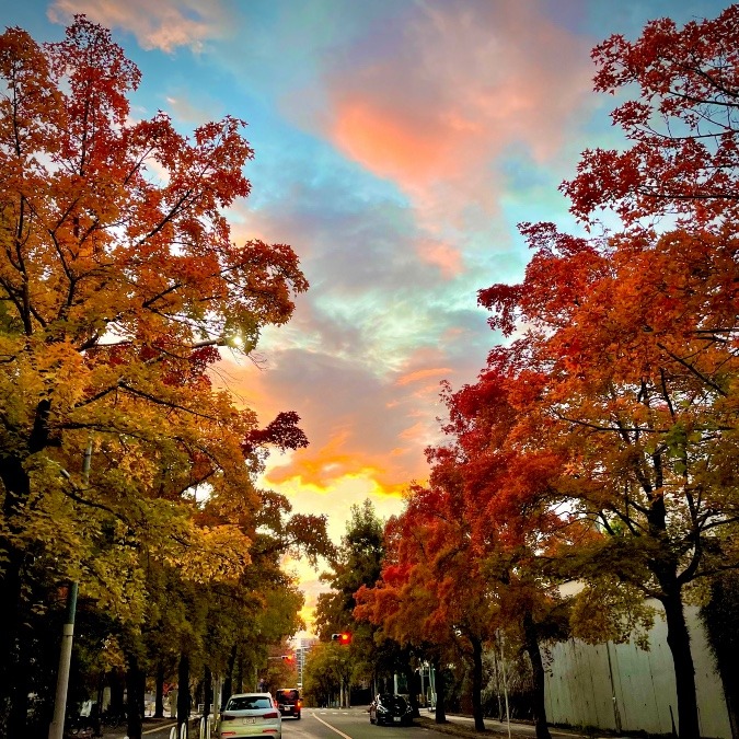 🍁秋に色づく三色彩道🍁