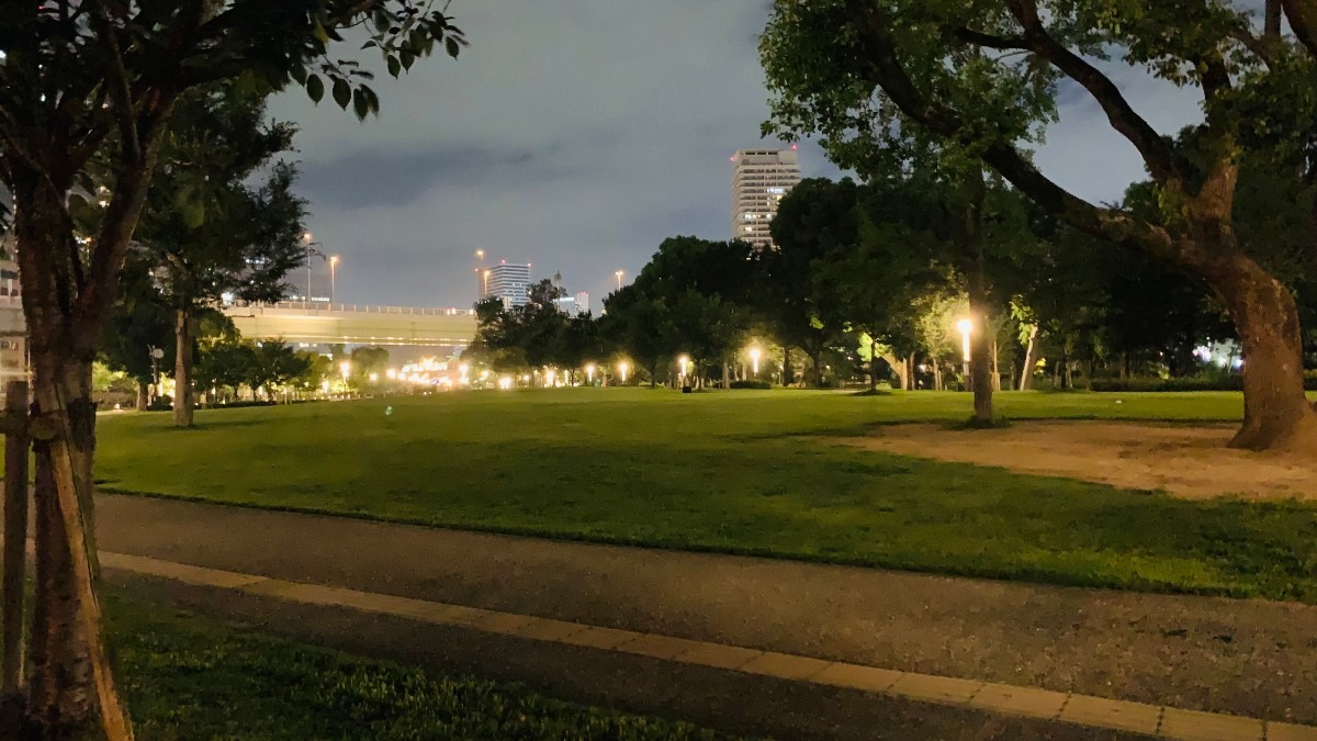 【中之島公園】公園内芝生、夜バージョンです。
