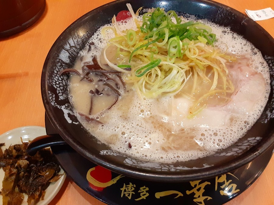 博多一幸舎　🍜大阪でも食べれます。