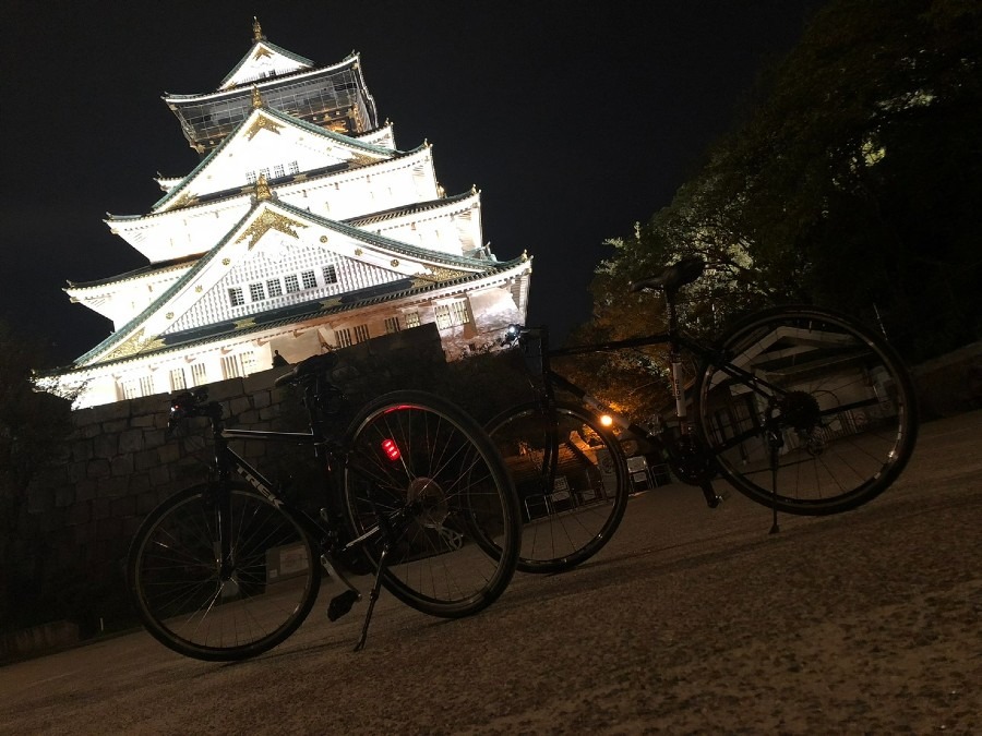 夜の大阪城も乙なもの！